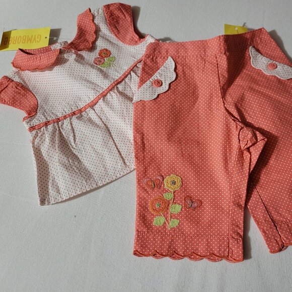 Gymboree Baby Butterfly 0-3 Month NWT shirt Pants Outfit. - Picture 1 of 5